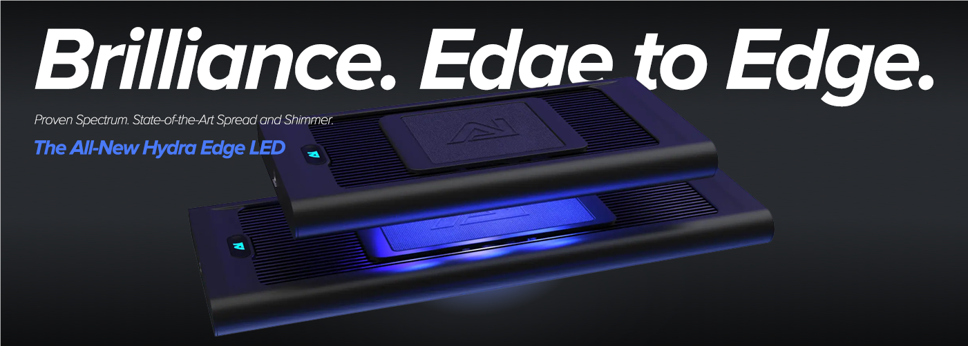 Brilliance.Edge to Edge