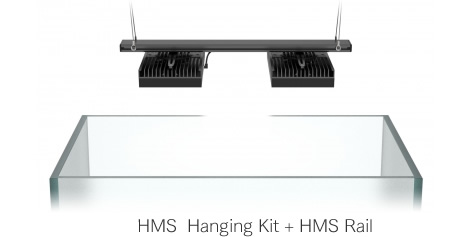 ���C���[�X�^�C��