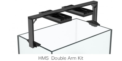 ���C���[�X�^�C��