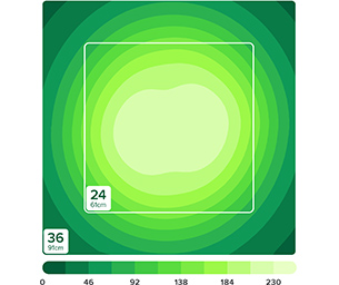 ext���[��+���C���[�X�^�C��