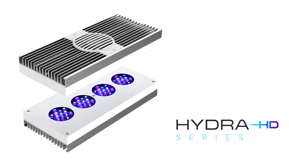 HYDRA :  the next generation has arrived