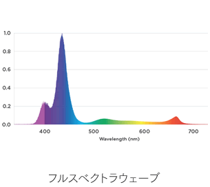 �t���X�x�N�g���E�F�[�u