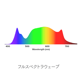 �t���X�x�N�g���E�F�[�u