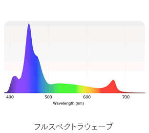 �t���X�x�N�g���E�F�[�u