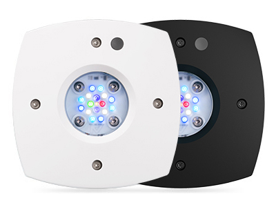 Prime&trade; 16HD Reef