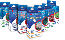 TEC4 �J���V�E�����A�N�^�[�V�X�e��