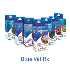 blue vet rx