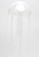 �T���V���C���u���[