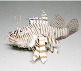 Lionfish