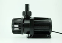 �t���p�[�c�ł̔z�ǁ@�P