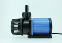 �t���p�[�c�ł̔z�ǁ@�P