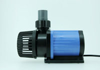 �ʔ���G���r�\�P�b�g���g�p���Ĕz�ǁ@�P