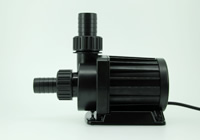 �t���p�[�c�ł̔z�ǁ@2