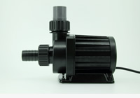 �ʔ���G���r�\�P�b�g���g�p���Ĕz�ǁ@�P