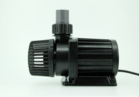 �ʔ���G���r�\�P�b�g���g�p���Ĕz�ǁ@�Q