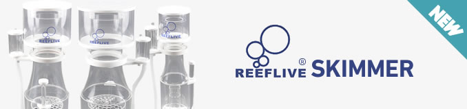 reef live skimmer