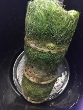 �i�`������