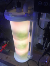 �i�`������