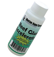 Boston Aqu Farms /  Accelerator 