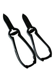 Seachem &rdquo;Aqua vitro&rdquo; 