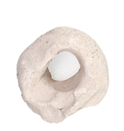 The Alternative Reef / Donuts 