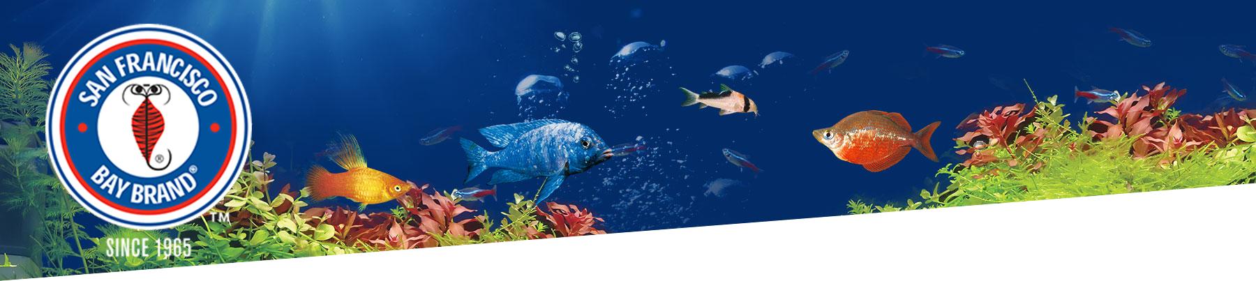 SAN FRANSISCO BAY BRAND