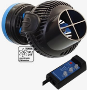 �X�g���[��6055