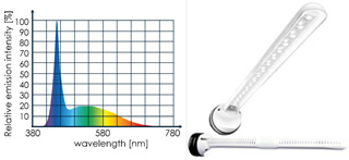 �p���[�}�O�l�b�g10