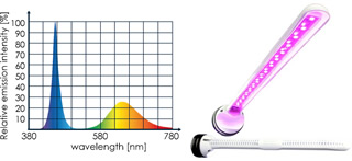 �p���[�}�O�l�b�g10