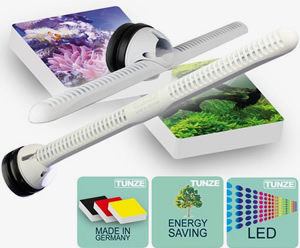 �X�g���[���|���v