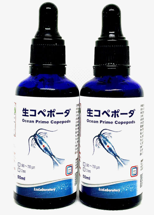 all in one �o�C�I�y���b�g