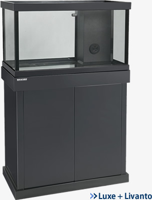 Luxe Livanto