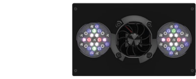 Vectra�|���v