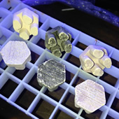 �R�[�����v���O�V���[�Y