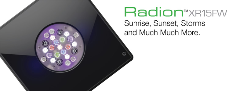 LED Light Radion XR15fw