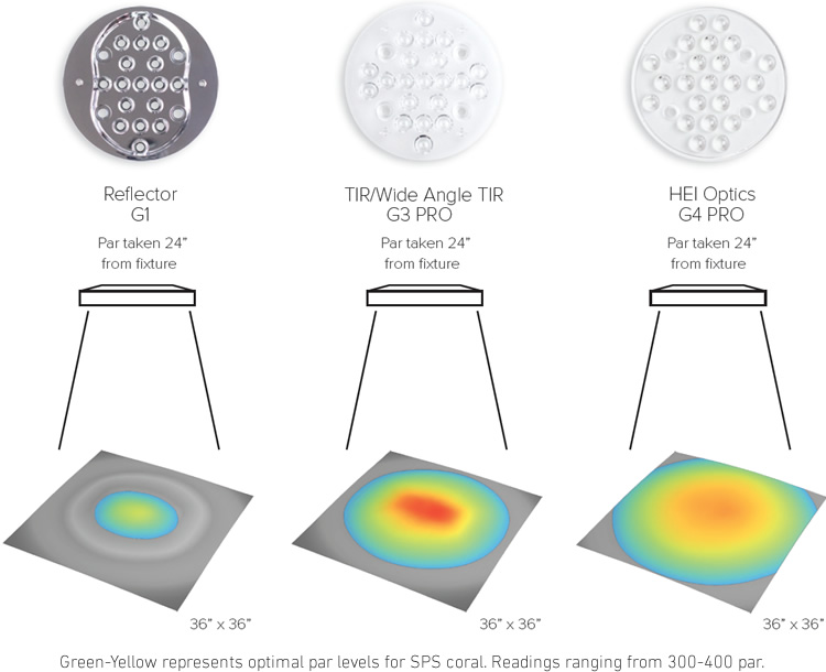 �q���������� G4�����C���[�W