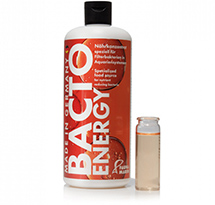 Bacto Energy