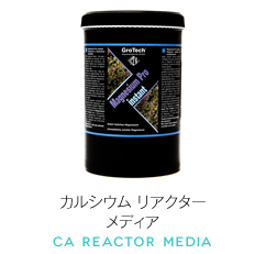 �J���V�E�����A�N�^�[���f�B�A