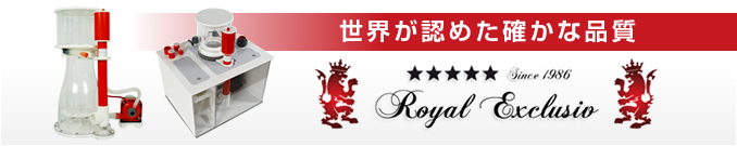 royal exclusive