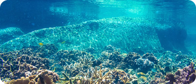 Matrix LED technology 