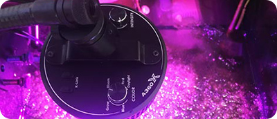 Kessil TUNA BLUE �X�y�N�g���E��