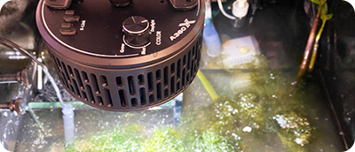 ���R�ȃL�����L����