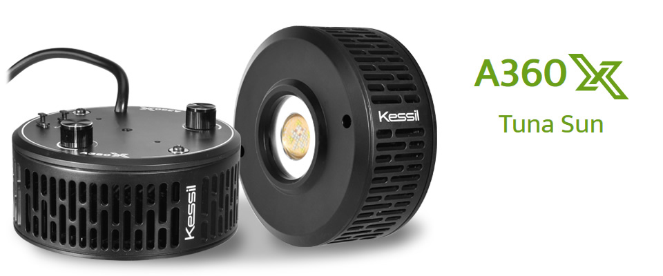 LSS Laboratory ｜ Kessil