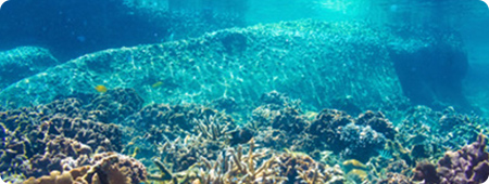 Kessil TUNA BLUE �X�y�N�g���E��