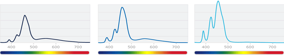 �X�y�N�g����