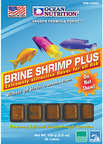 frozen brine shrimp