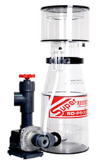 ������INT�V���[�Y