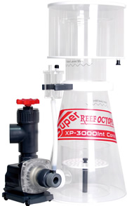 XP�V���[�Y�@int