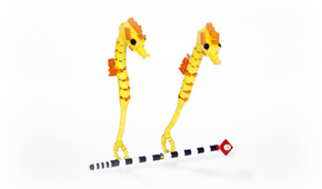 2&times;Seahorse & Pipefish