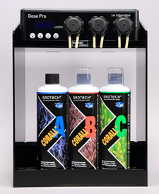 �g���[�X�G�������g�̓Y��